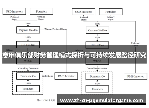 意甲俱乐部财务管理模式探析与可持续发展路径研究