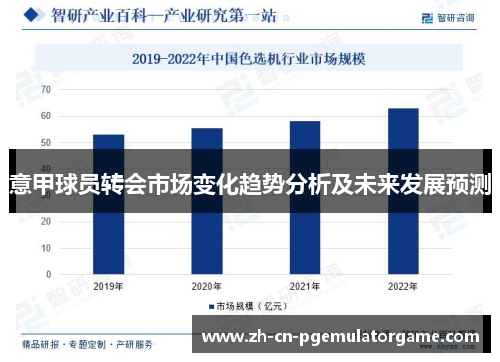 意甲球员转会市场变化趋势分析及未来发展预测