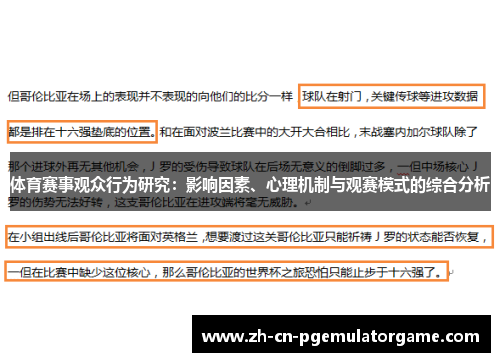 体育赛事观众行为研究：影响因素、心理机制与观赛模式的综合分析