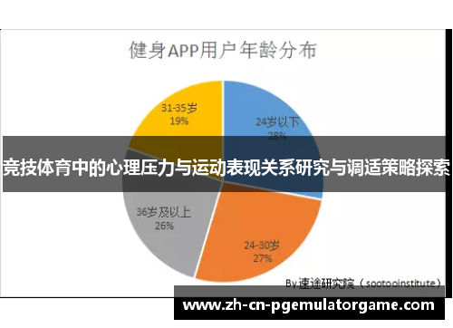 竞技体育中的心理压力与运动表现关系研究与调适策略探索