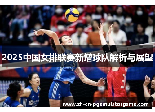 2025中国女排联赛新增球队解析与展望