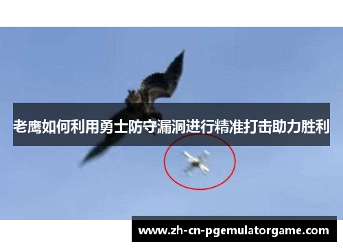 老鹰如何利用勇士防守漏洞进行精准打击助力胜利