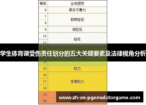 学生体育课受伤责任划分的五大关键要素及法律视角分析