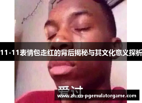 11-11表情包走红的背后揭秘与其文化意义探析
