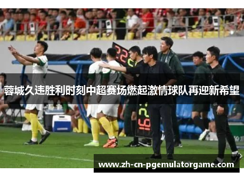 蓉城久违胜利时刻中超赛场燃起激情球队再迎新希望