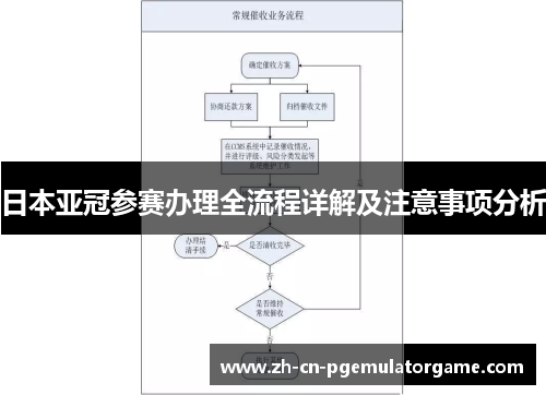 日本亚冠参赛办理全流程详解及注意事项分析