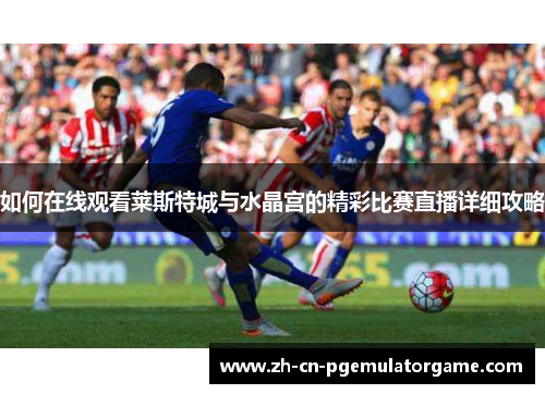 如何在线观看莱斯特城与水晶宫的精彩比赛直播详细攻略