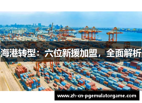 海港转型：六位新援加盟，全面解析