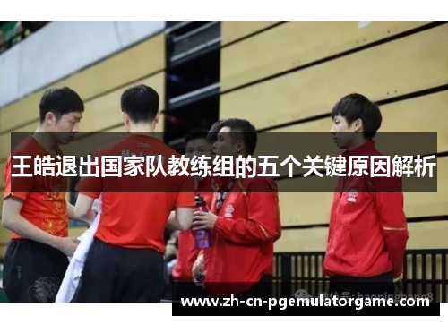王皓退出国家队教练组的五个关键原因解析