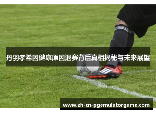 丹羽孝希因健康原因退赛背后真相揭秘与未来展望