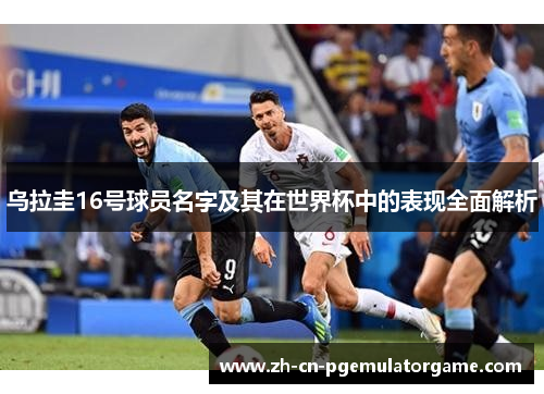 乌拉圭16号球员名字及其在世界杯中的表现全面解析