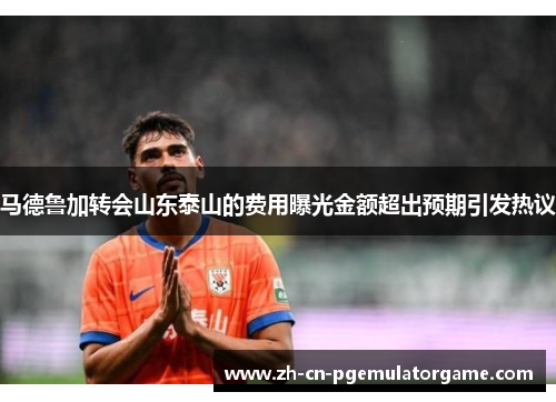 马德鲁加转会山东泰山的费用曝光金额超出预期引发热议
