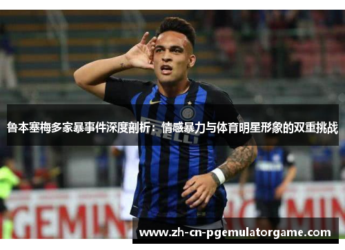 鲁本塞梅多家暴事件深度剖析：情感暴力与体育明星形象的双重挑战