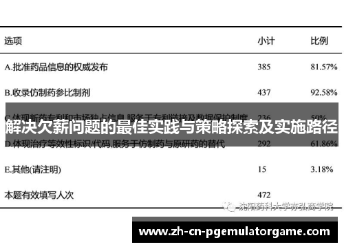解决欠薪问题的最佳实践与策略探索及实施路径
