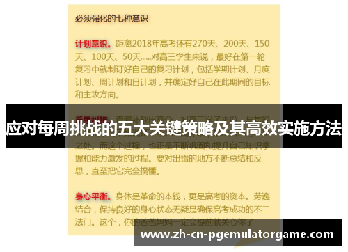 应对每周挑战的五大关键策略及其高效实施方法